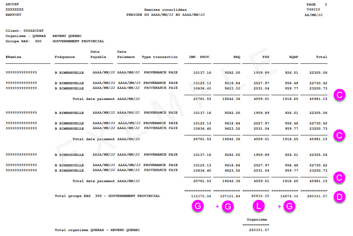 REM029_Fushia_FR 2025
