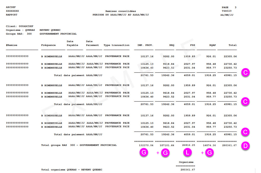 REM029_Fushia-FR 2025_REC